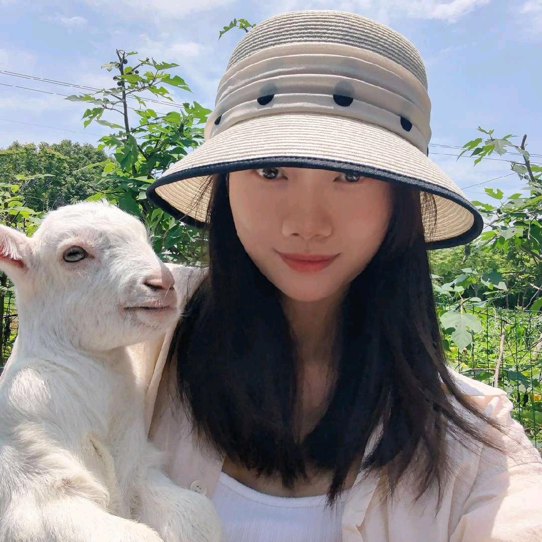 哈比小花喵