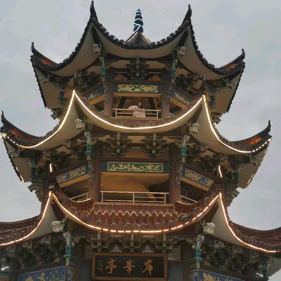来去自由人