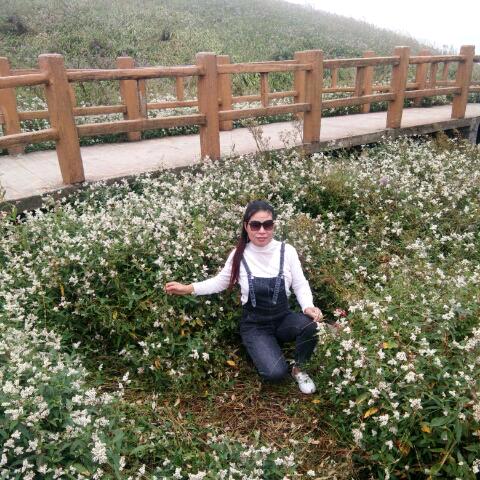 杨四姐