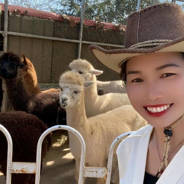 拽娘