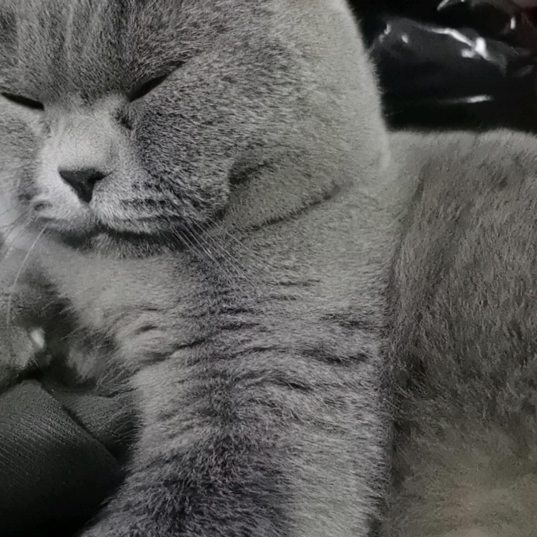 此号暂停