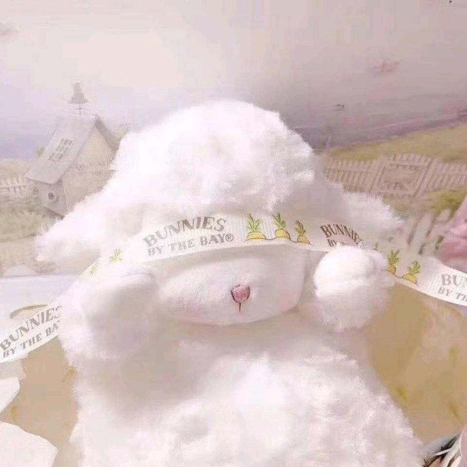 一念