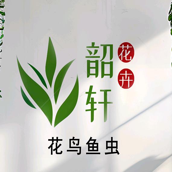 韶轩花鸟鱼虫（运城）