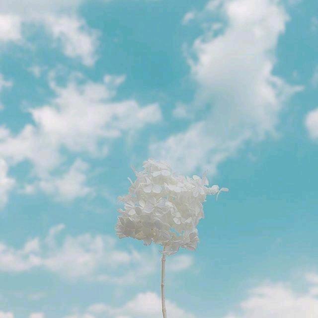 南昌物流园仓库出租