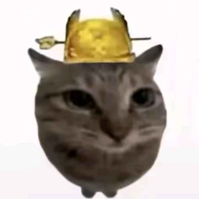 TH.
