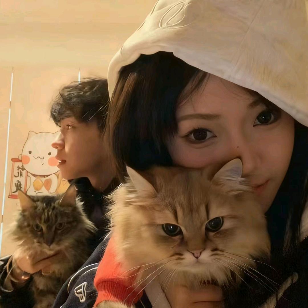 没烦恼