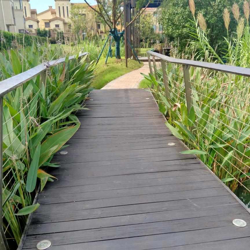 一路向阳🌴🌟
