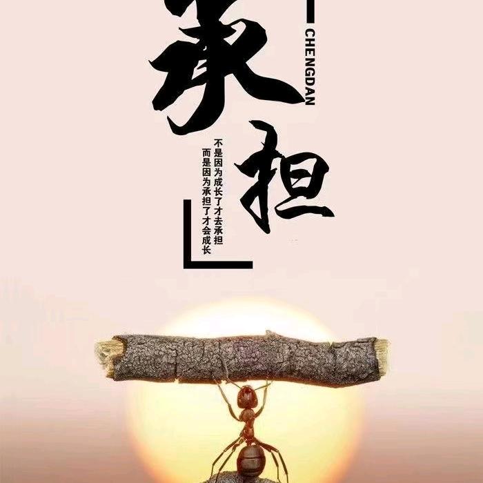 无声世界