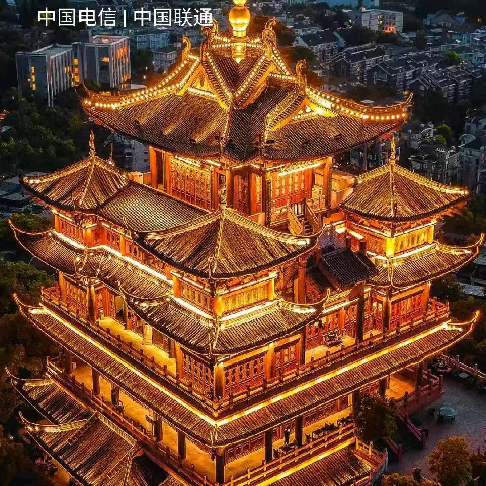 琴