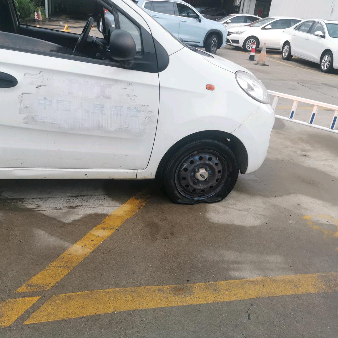 陈55555555