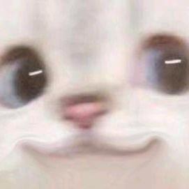 扑克