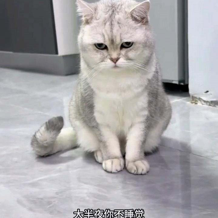 日落时ᵏⁱˢˢ