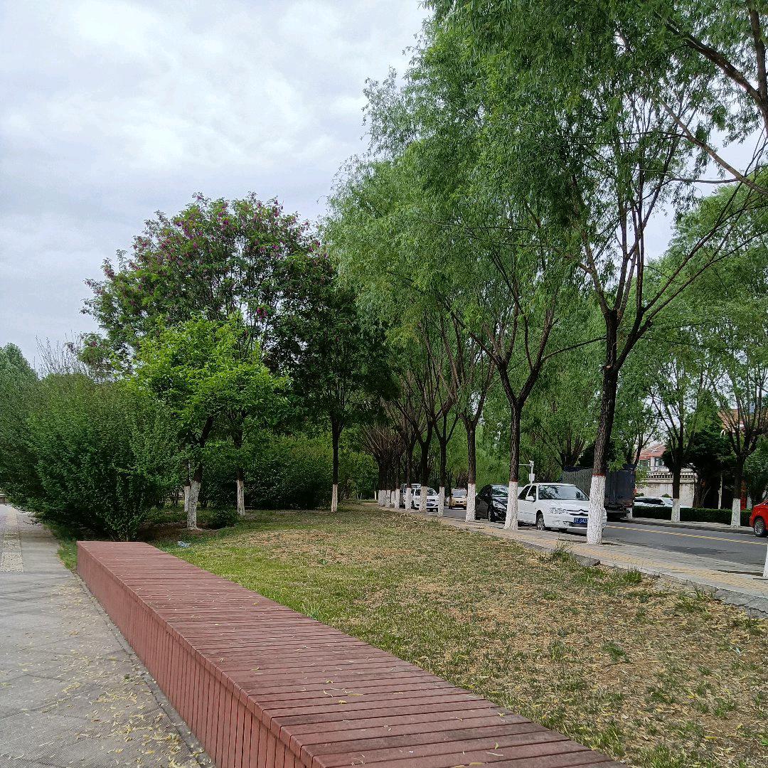 阿文臻选馆