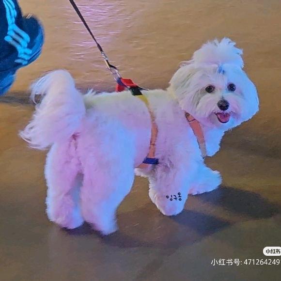 无人之岛