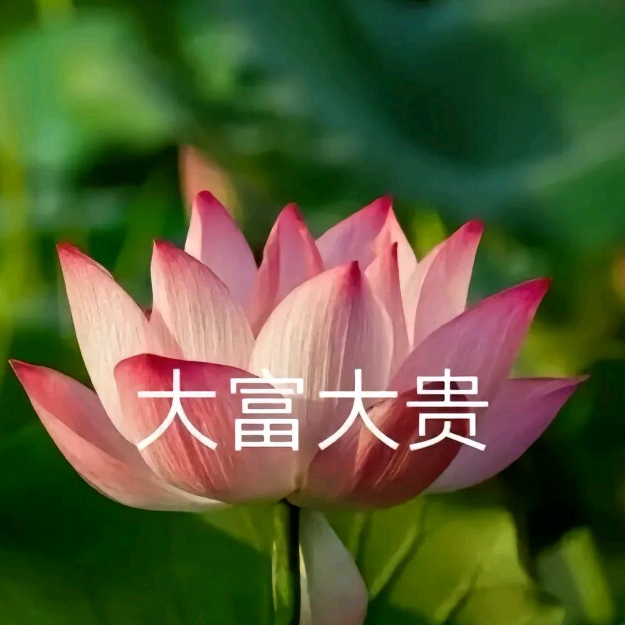唢呐一响黄金万两