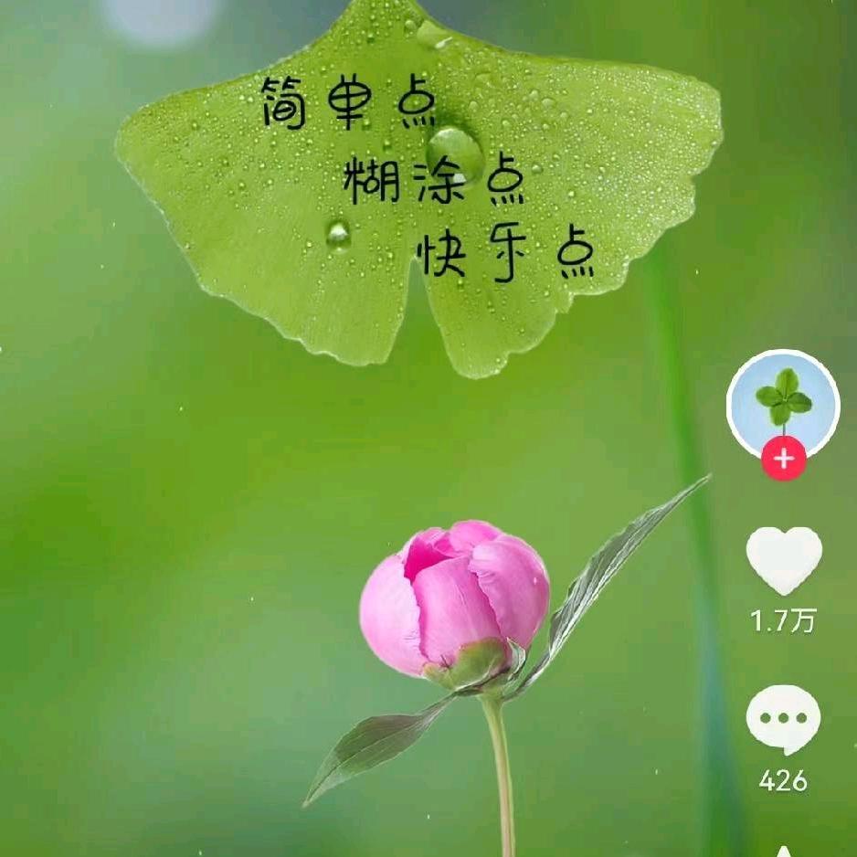 单枪匹马又如何