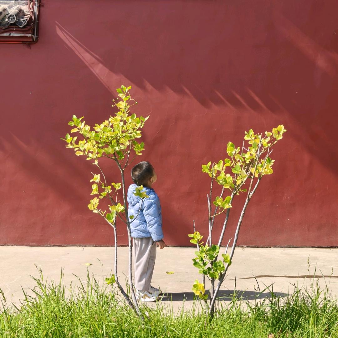 阳阳成长日记🐰