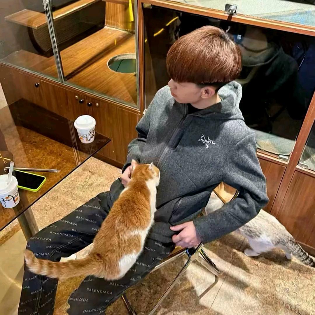 思念似水斩不断.