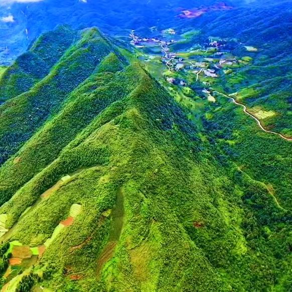 天涯何处无芳草。