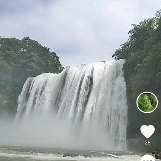 豫中旅国际旅行社