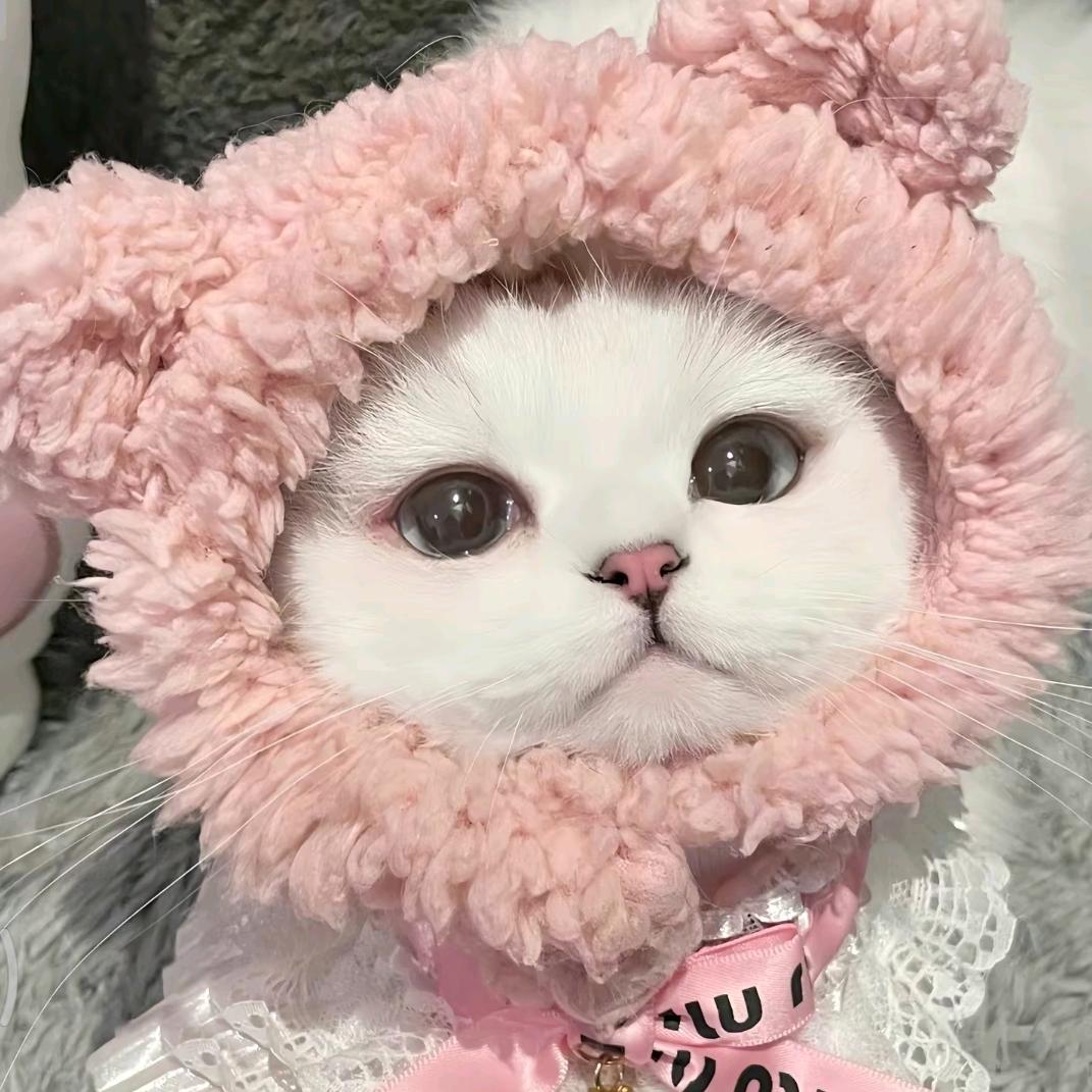 沿岸有贝壳🐚🍥