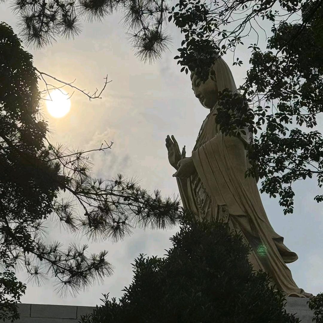 静-鑫