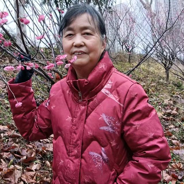 清新文艺