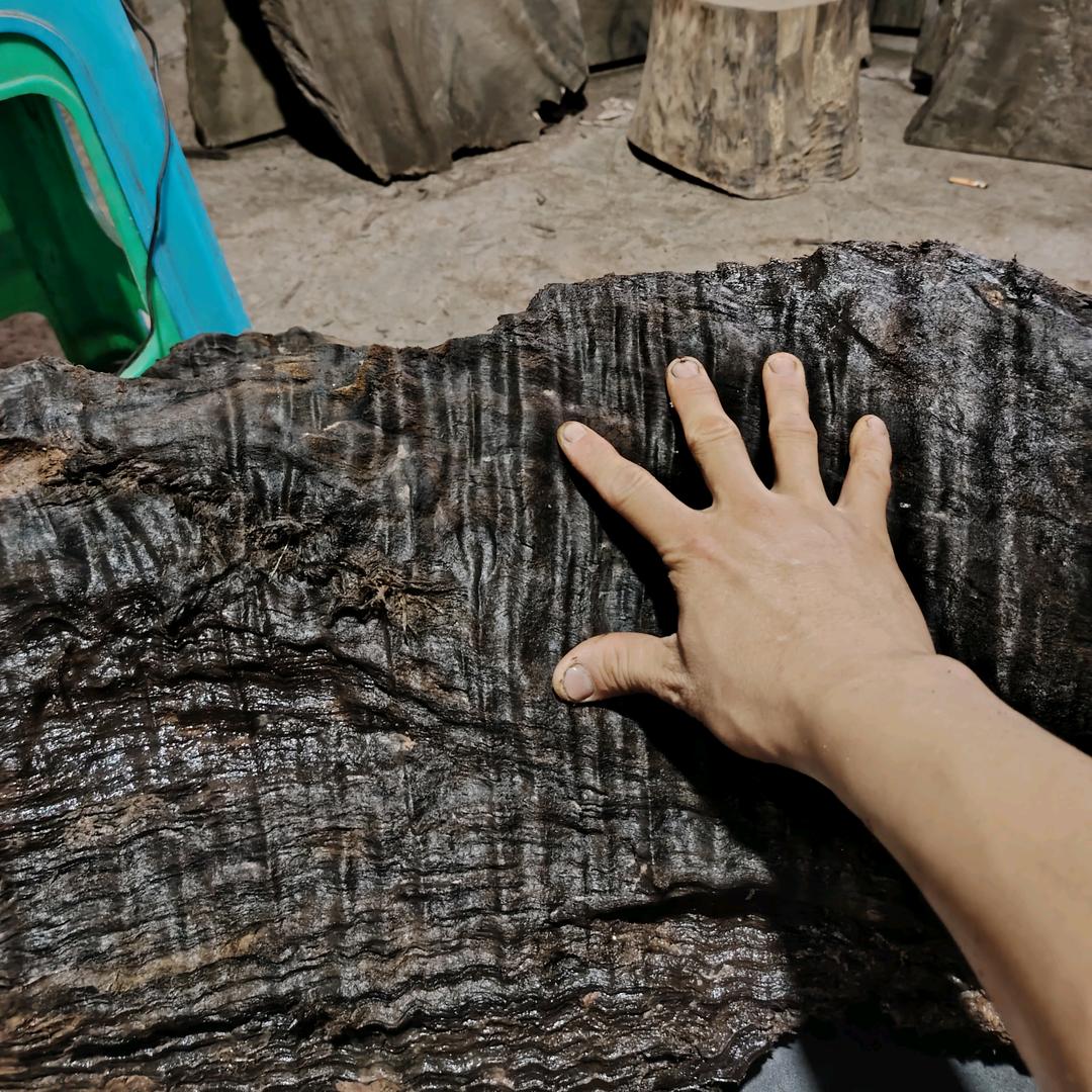 泸县玉蟾古楠香柏生活坊