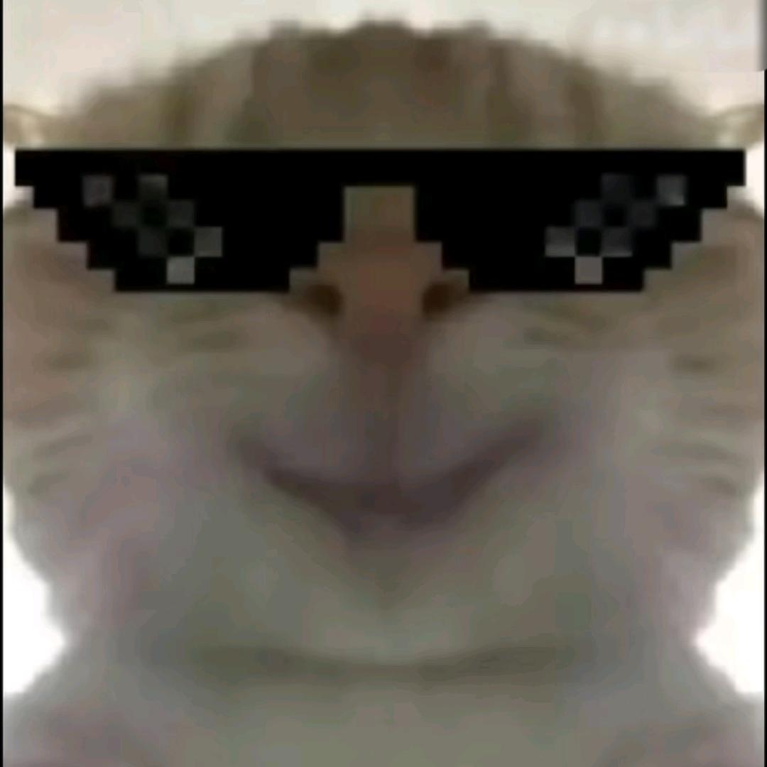 若宇（三角洲行动）