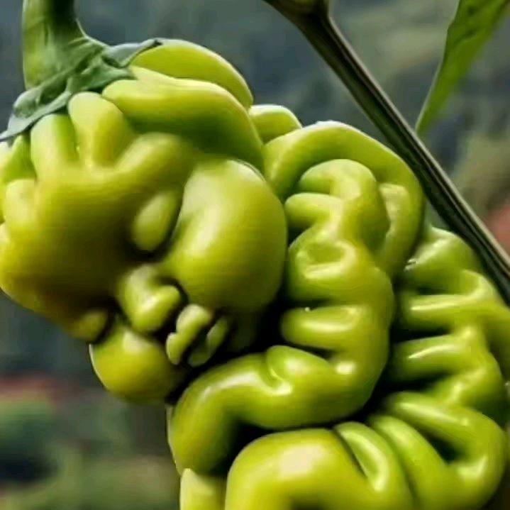 静看請字株人心