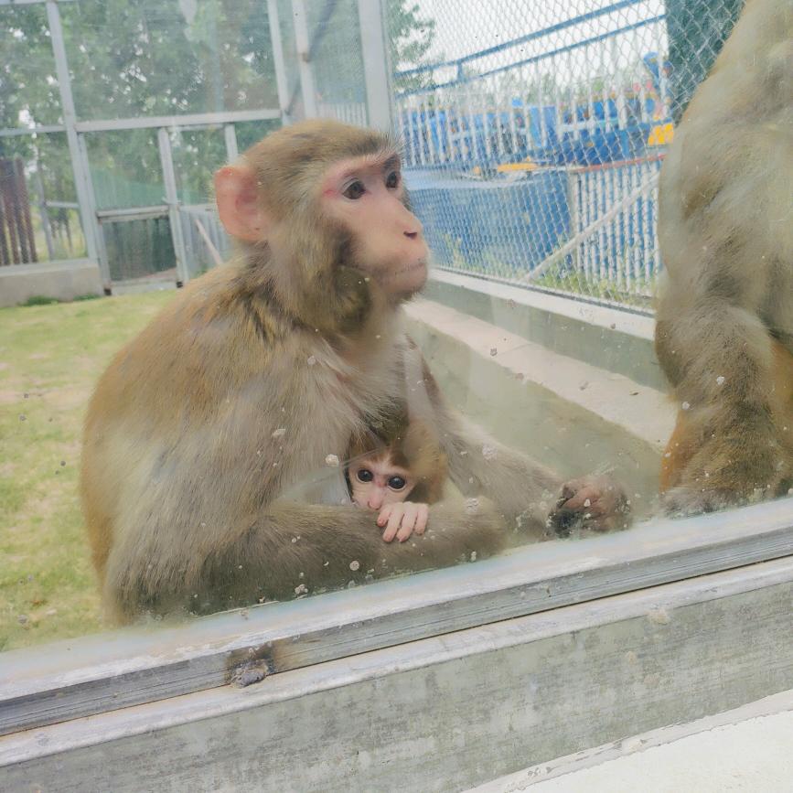 不在年轻的90后