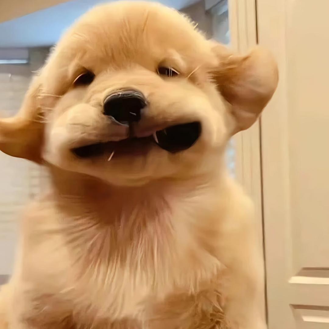 来财（燕云十六声）