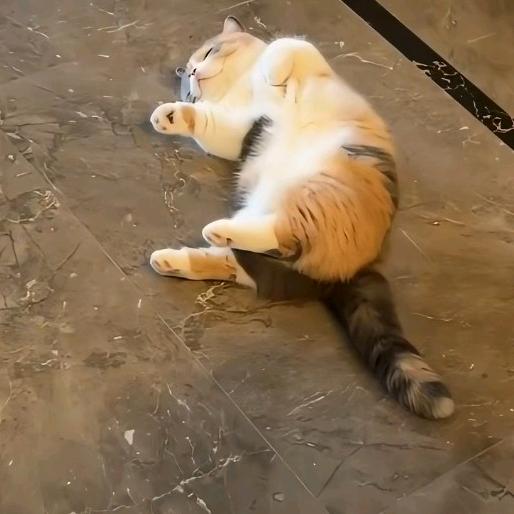 ，，，，，，，，，，，，，，，，，，，，