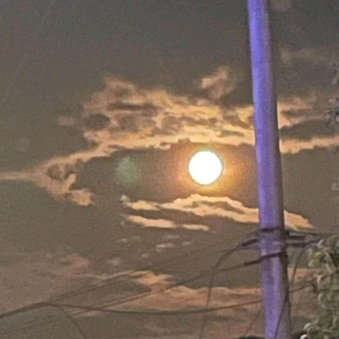 鑫鑫
