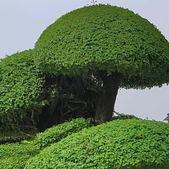 溪水长流