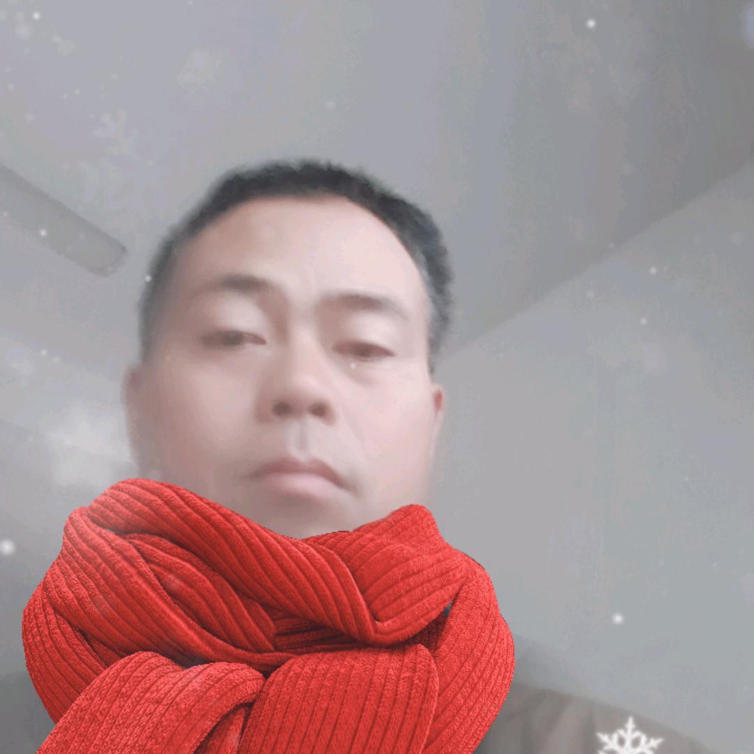 林定计