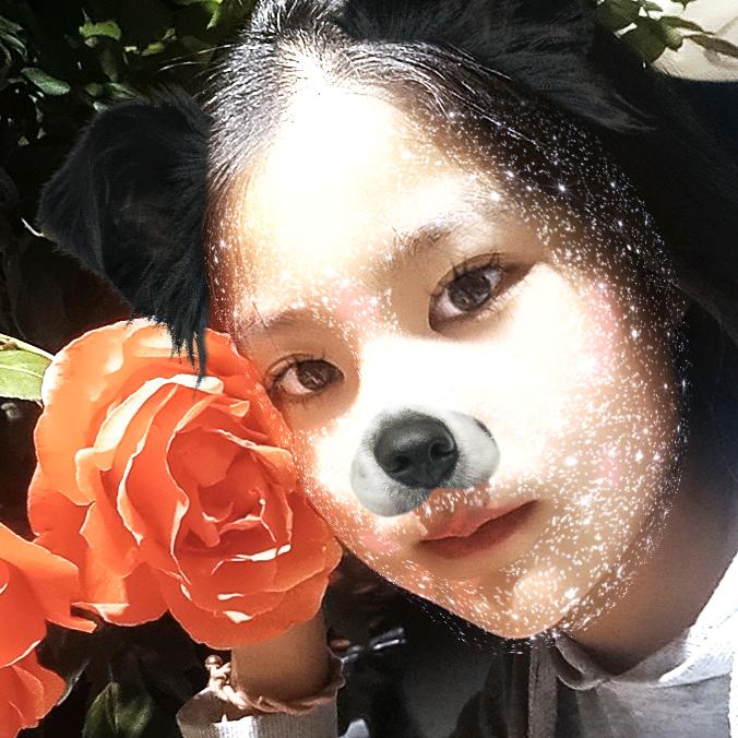 李江柳397