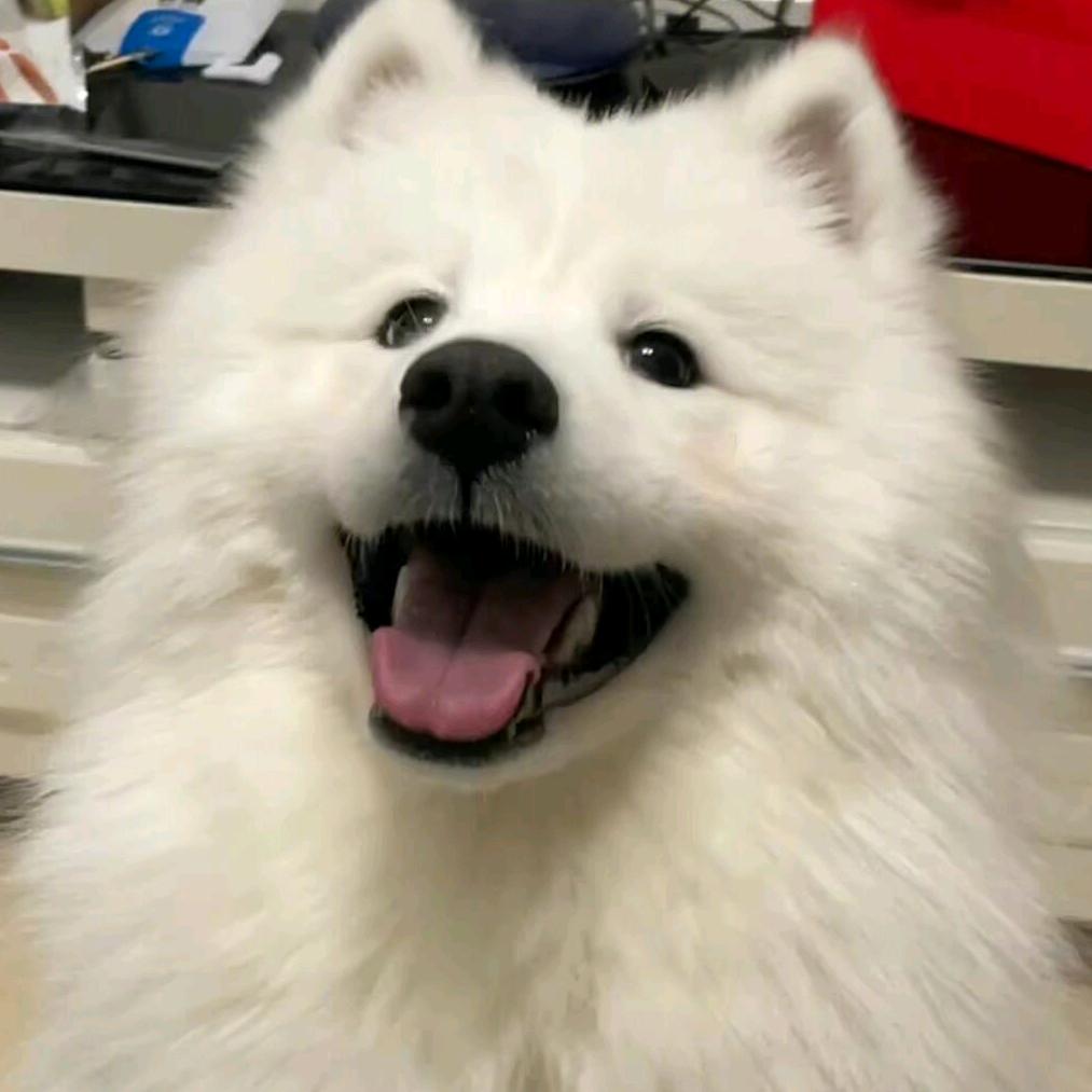 张啊松