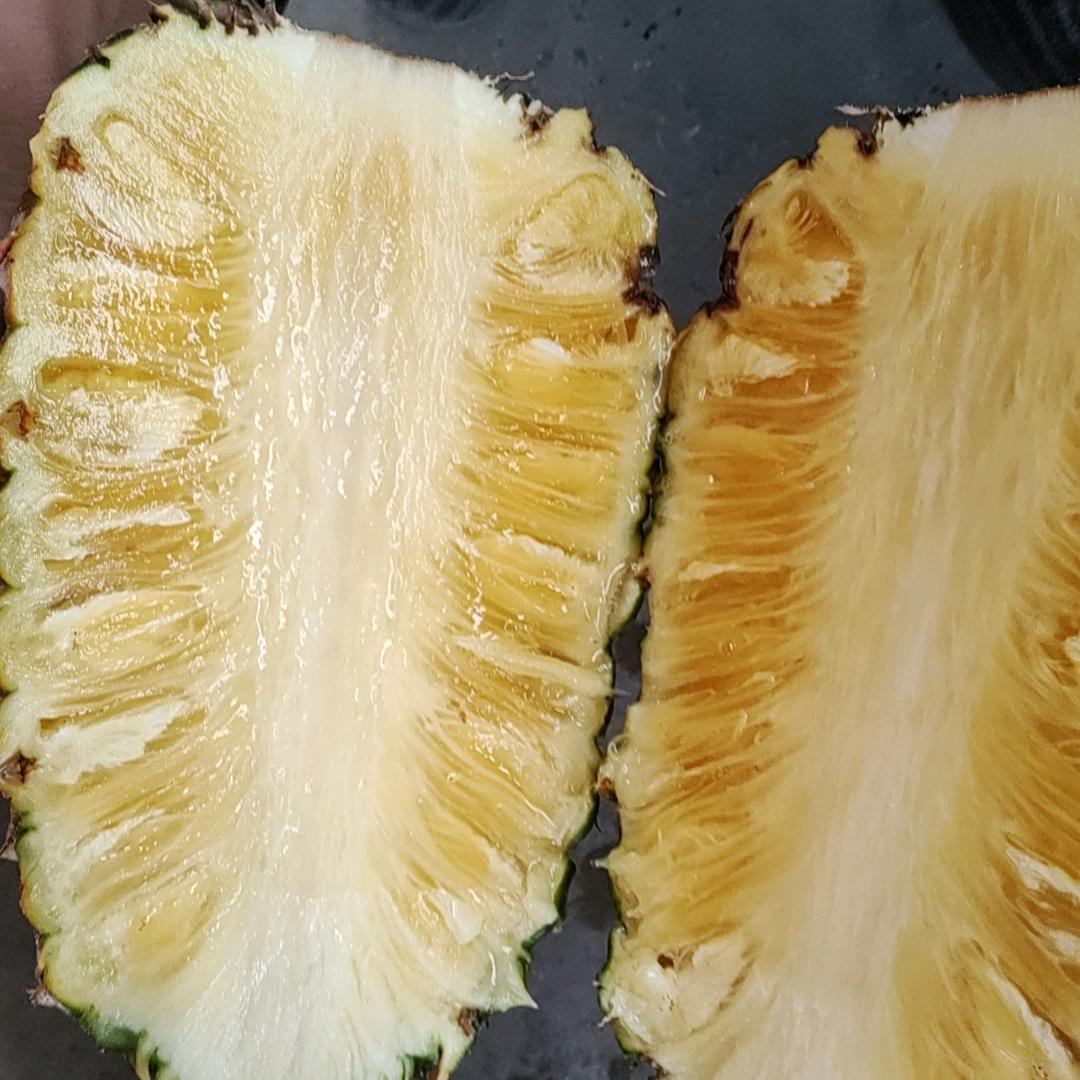 游戏人间～～