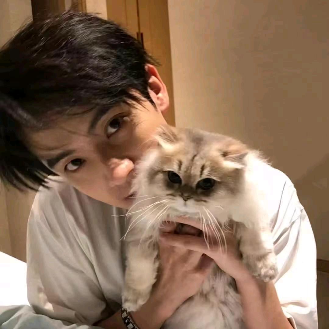 枫枫