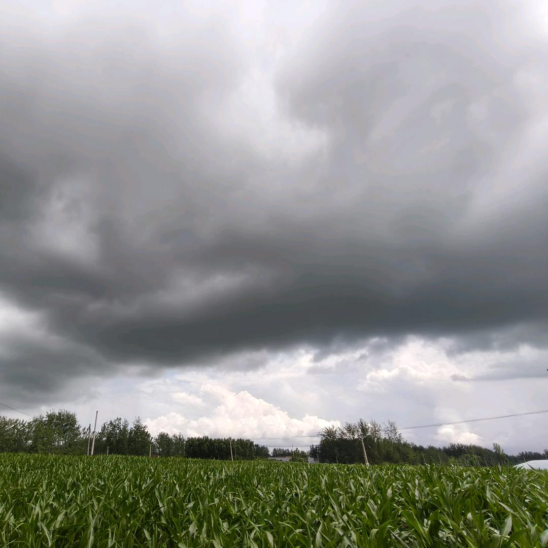 二八大杠自行车