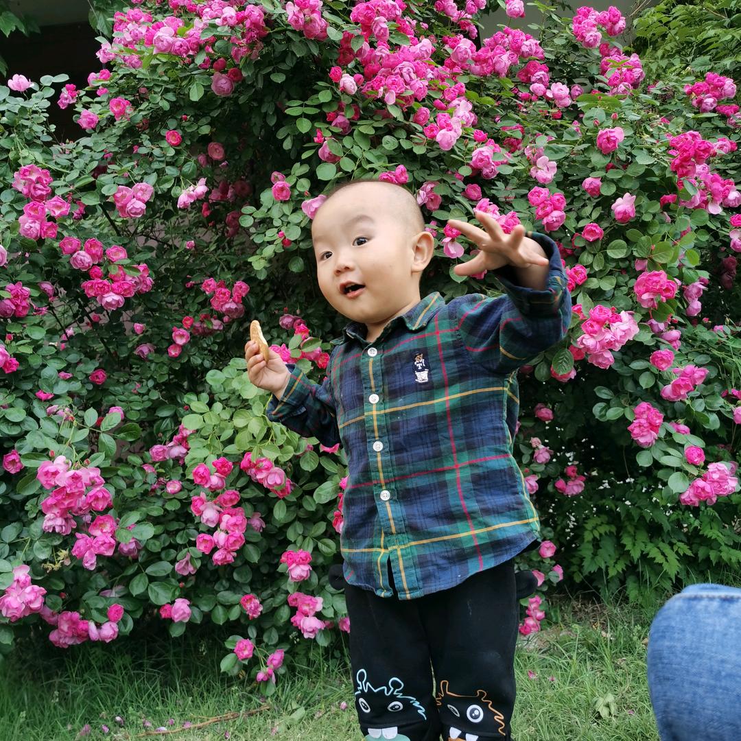 明🌹天会更🌹好木1909