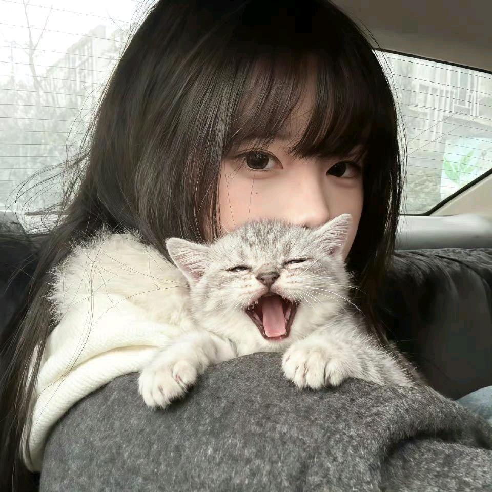 聆予栀回