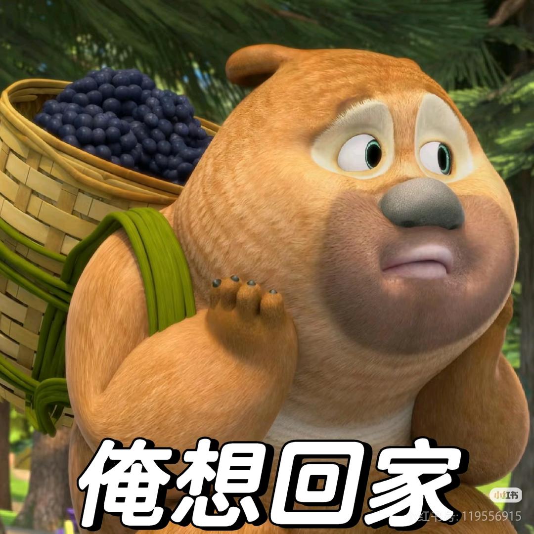 小野猫的聚集地