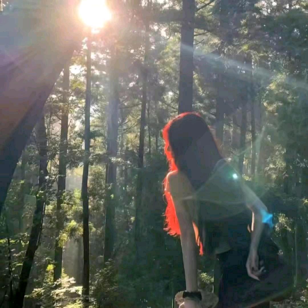榨尽所有温柔🦋