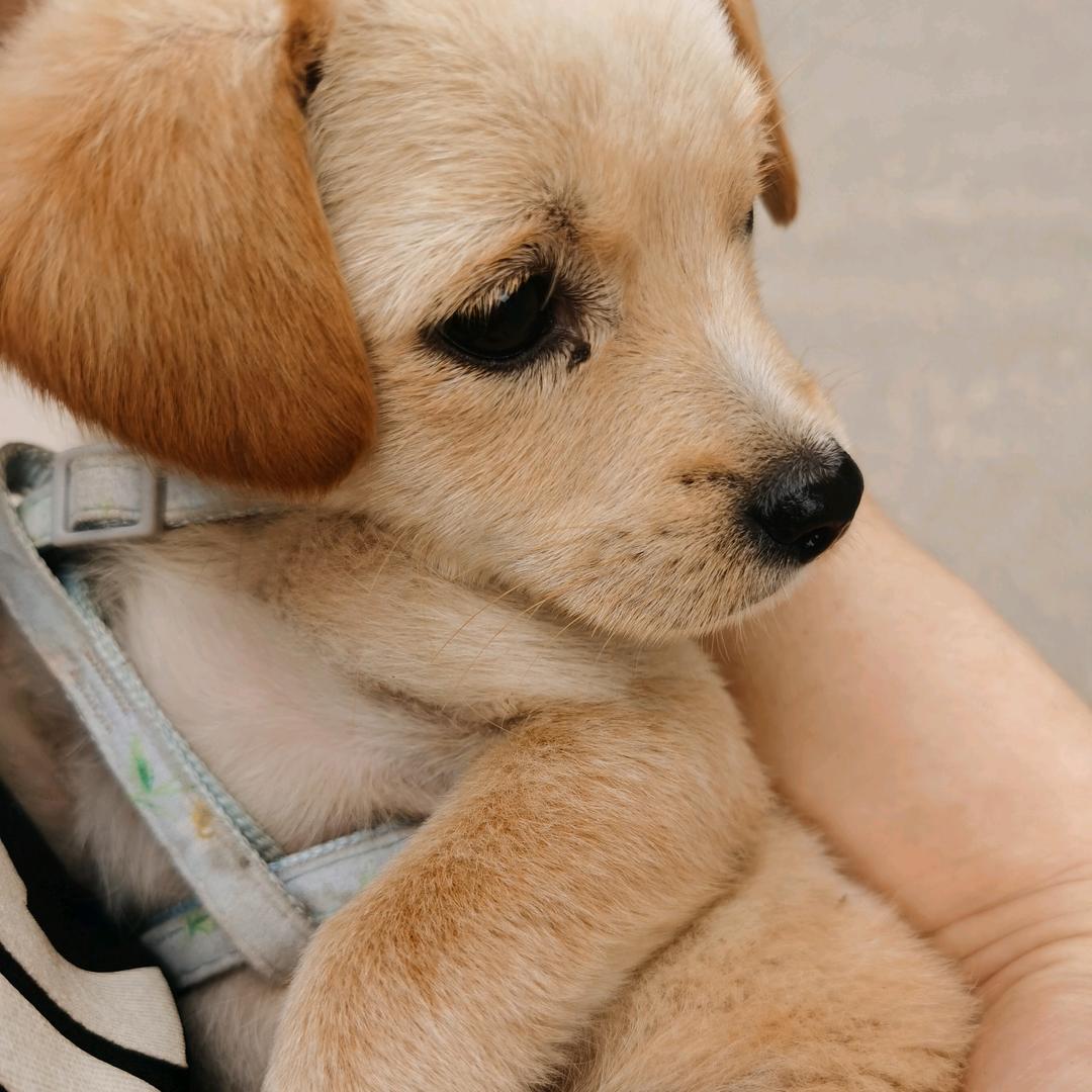 老天保佑金山银山全都有