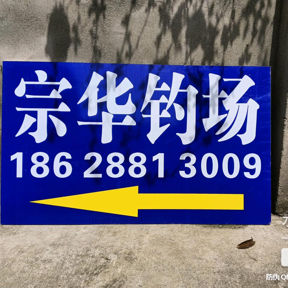 回到现实