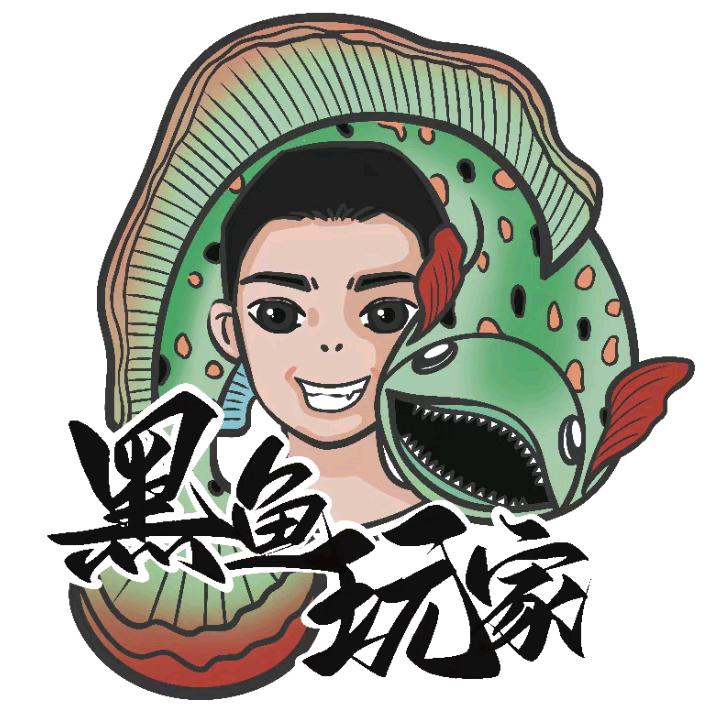 黑鱼玩家的小店