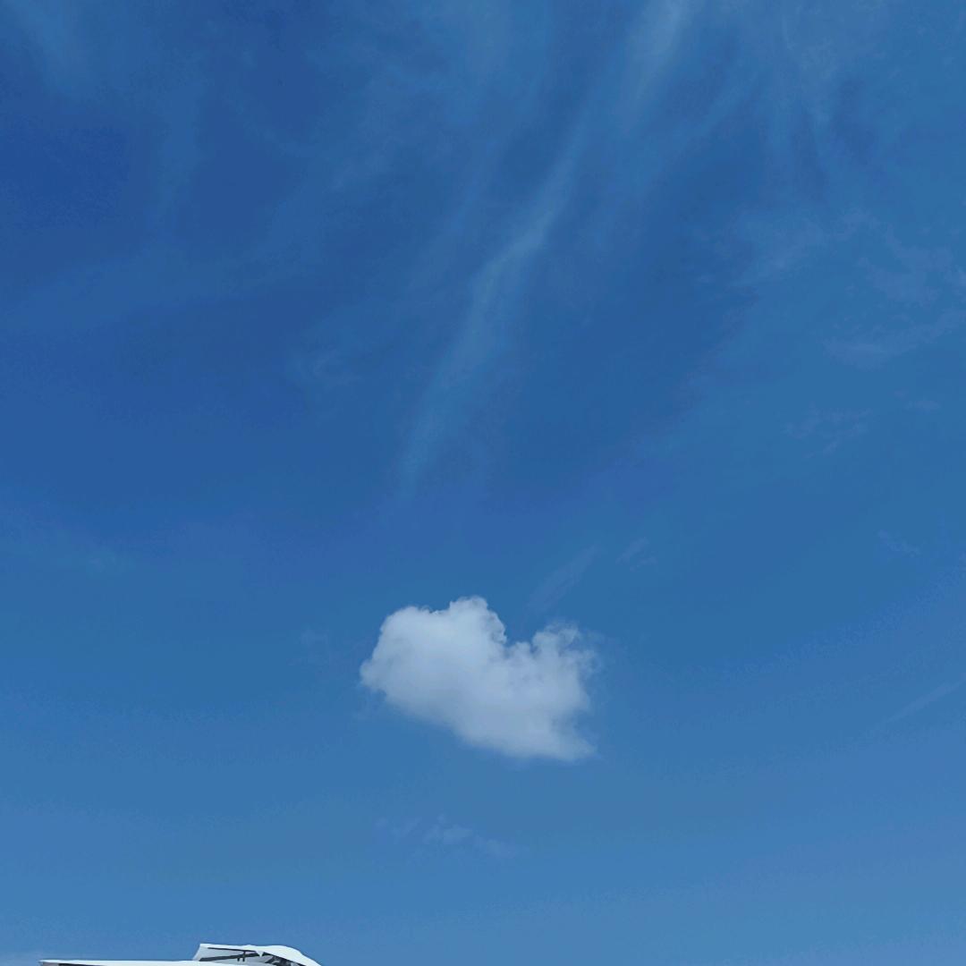 小敏