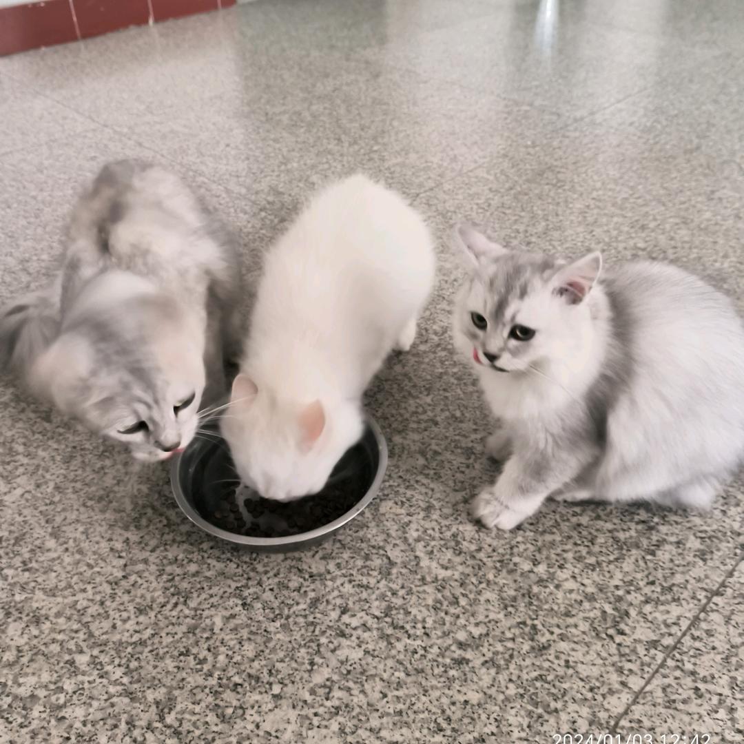 温忘忧👩‍🎤